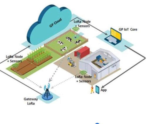 316422855_10229152423773975_4979107443900540683_n