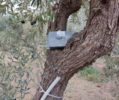 316828011_10229152421933929_6914732247032413969_n-900x1200