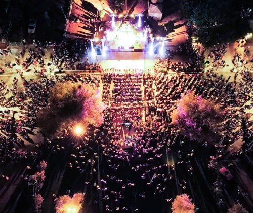 ΑΛΚΙΗΣΤΙΣ ΠΡΩΤΟΨΑΛΤΗ ΠΕΥΚΙ 29 ΙΟΥΛΙΟΥ 2023 (2)