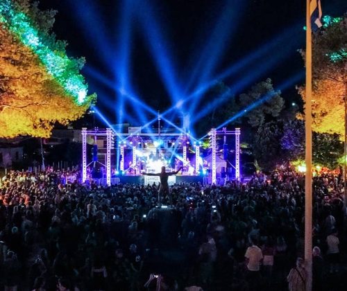 ΑΛΚΙΗΣΤΙΣ ΠΡΩΤΟΨΑΛΤΗ ΠΕΥΚΙ 29 ΙΟΥΛΙΟΥ 2023