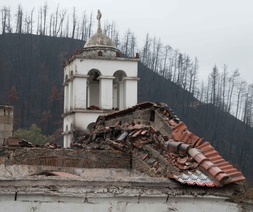 Κοκκινομηλιά (2)